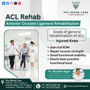 Graphic Designing Services- Lab Darshi ACL Rehab- Phy Rehab Care- Graphic Designs
